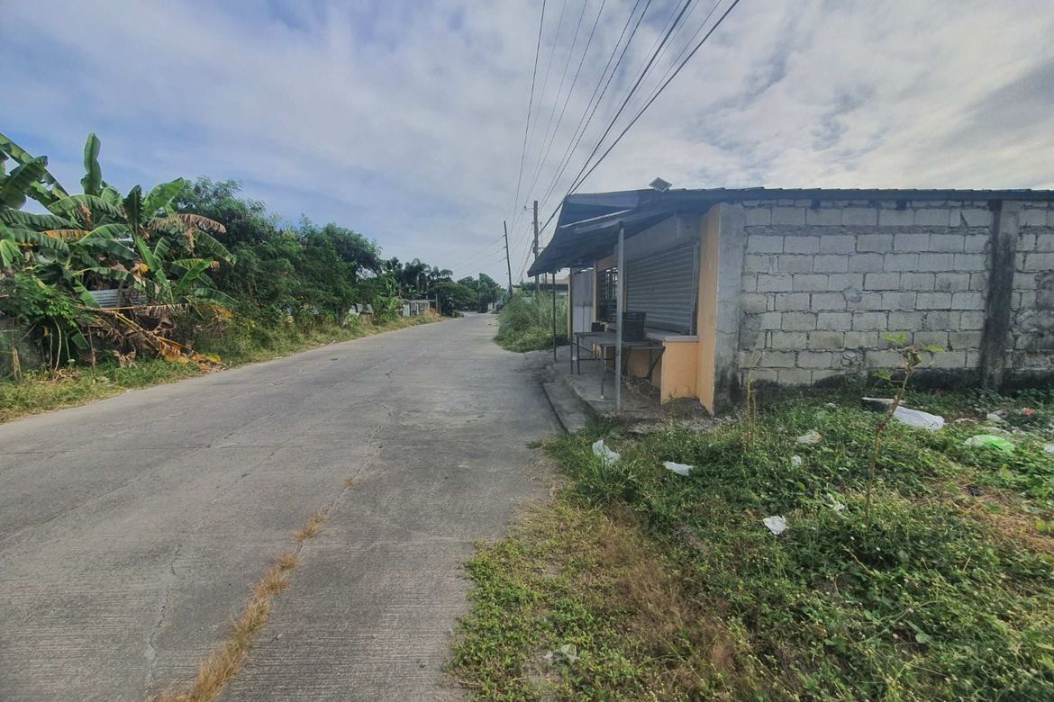 Land for Sale in Cristo Rey, Capas, Tarlac – photo 3