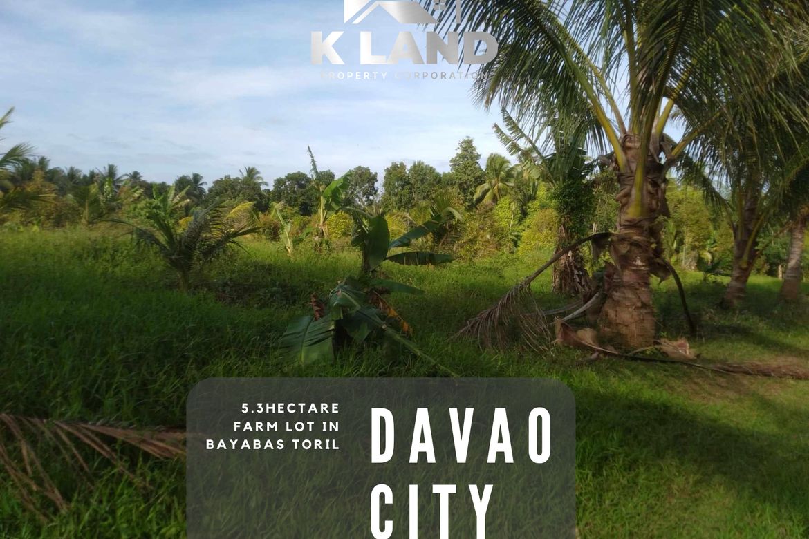 Land for Sale in Crossing Bayabas, Davao City, Davao del Sur