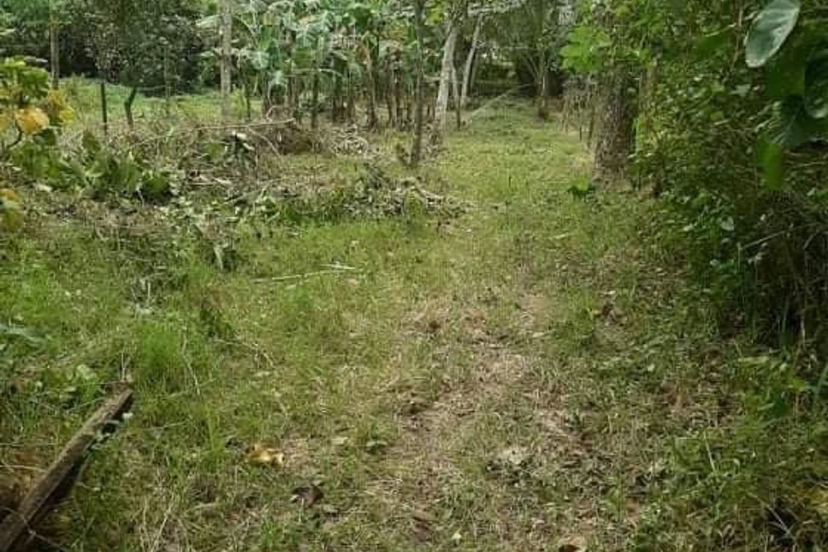 Land for Sale in Cubay-Sermon, Sibalom, Antique – photo 2