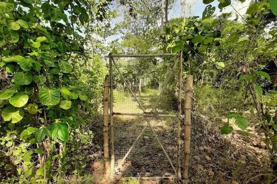 Land for Sale in Cubay-Sermon, Sibalom, Antique – photo 3