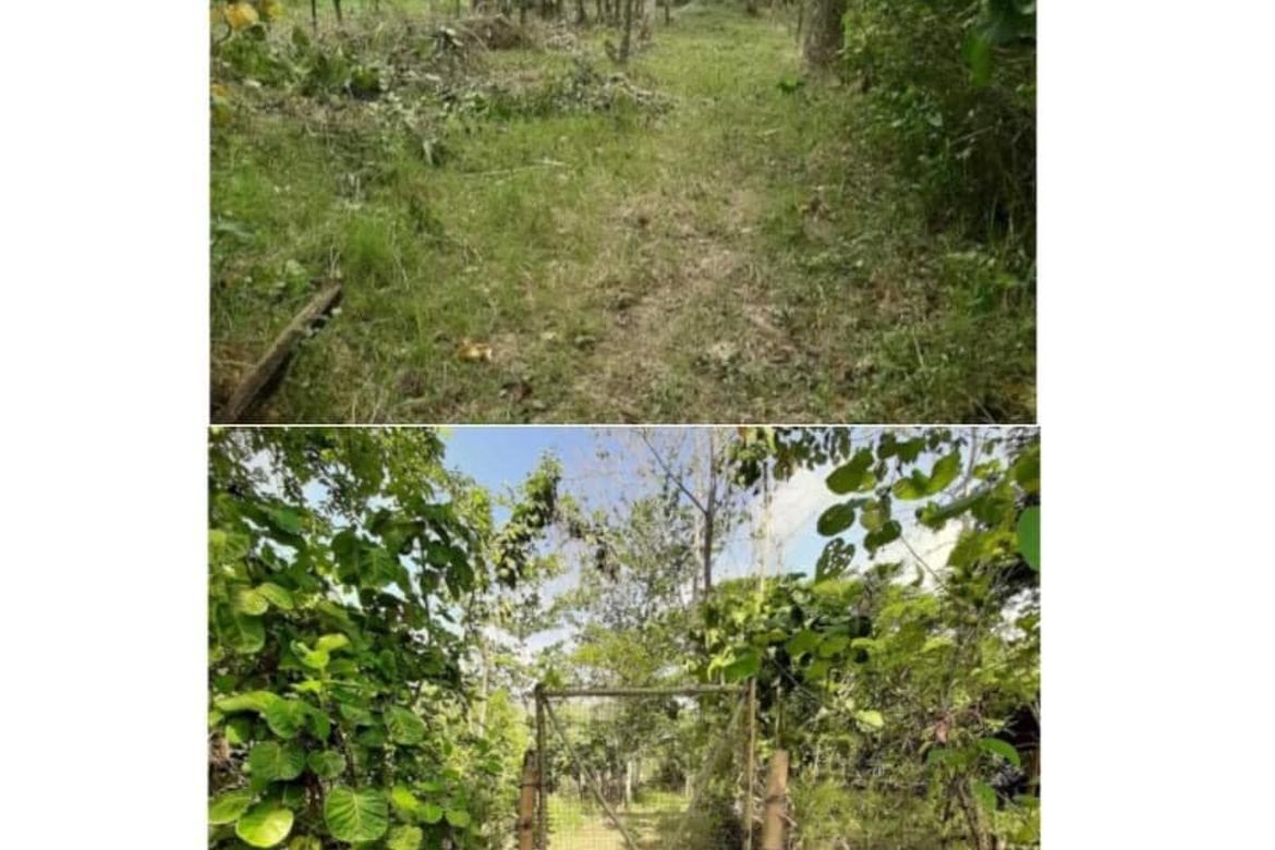 Land for Sale in Cubay-Sermon, Sibalom, Antique – photo 4