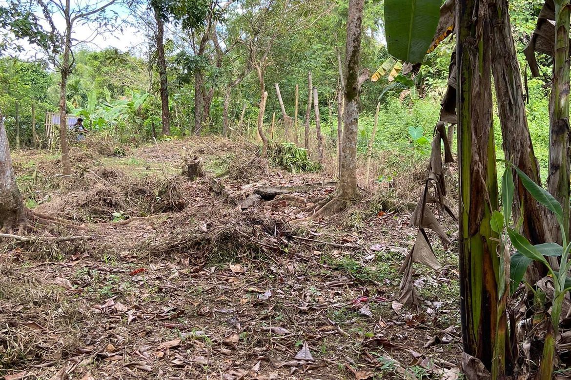 Land for Sale in Cubay-Sermon, Sibalom, Antique – photo 5