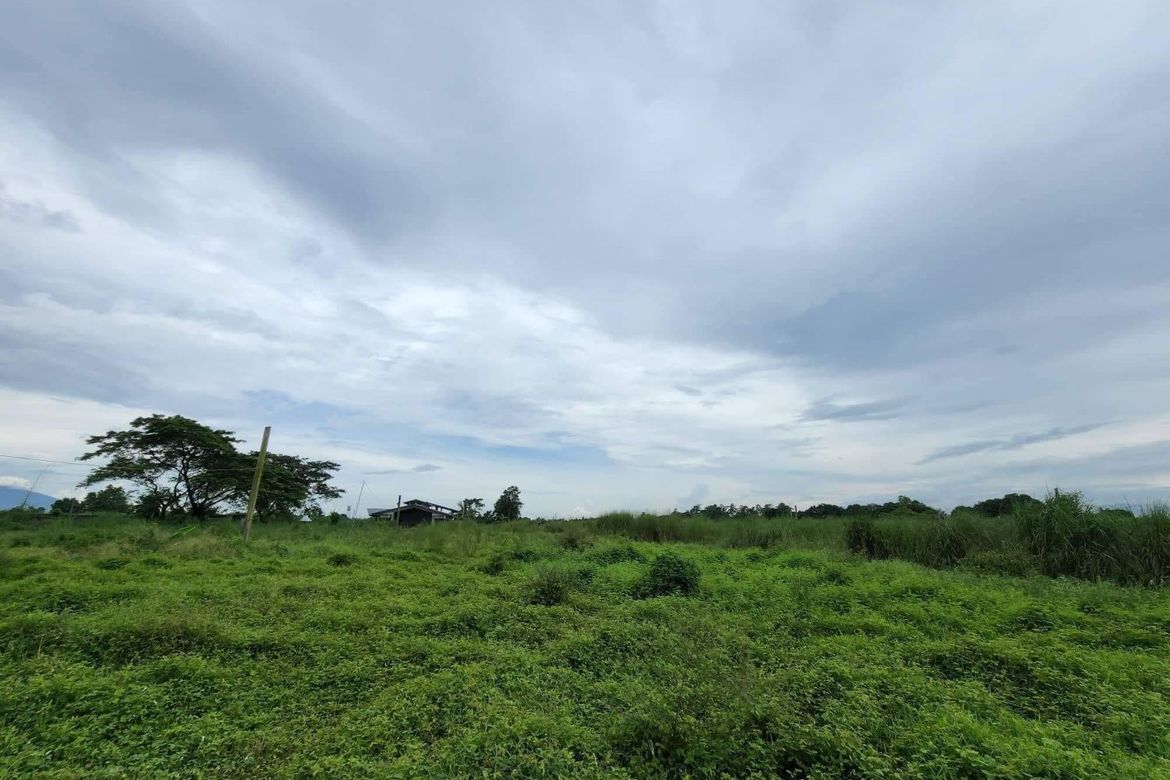 Land for Sale in Cubcub, Capas, Tarlac – photo 8