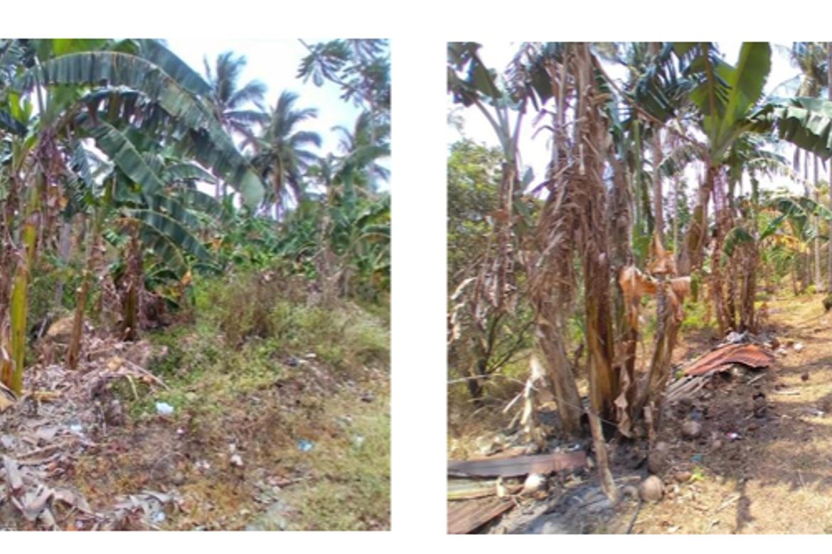 Land for Sale in Cueva, Santa Maria, Laguna