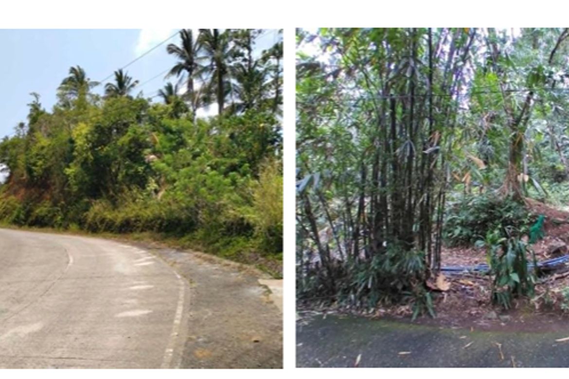Land for Sale in Cueva, Santa Maria, Laguna – photo 2