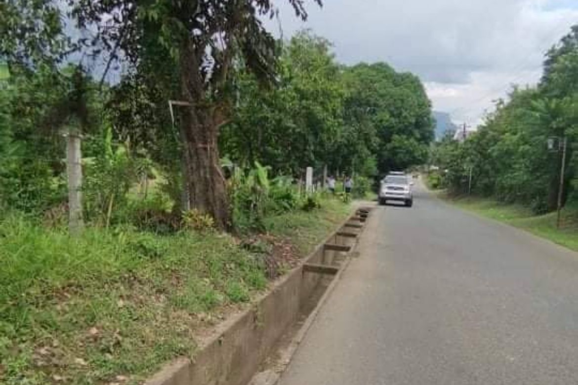 Land for Sale in Cueva, Santa Maria, Laguna – photo 2