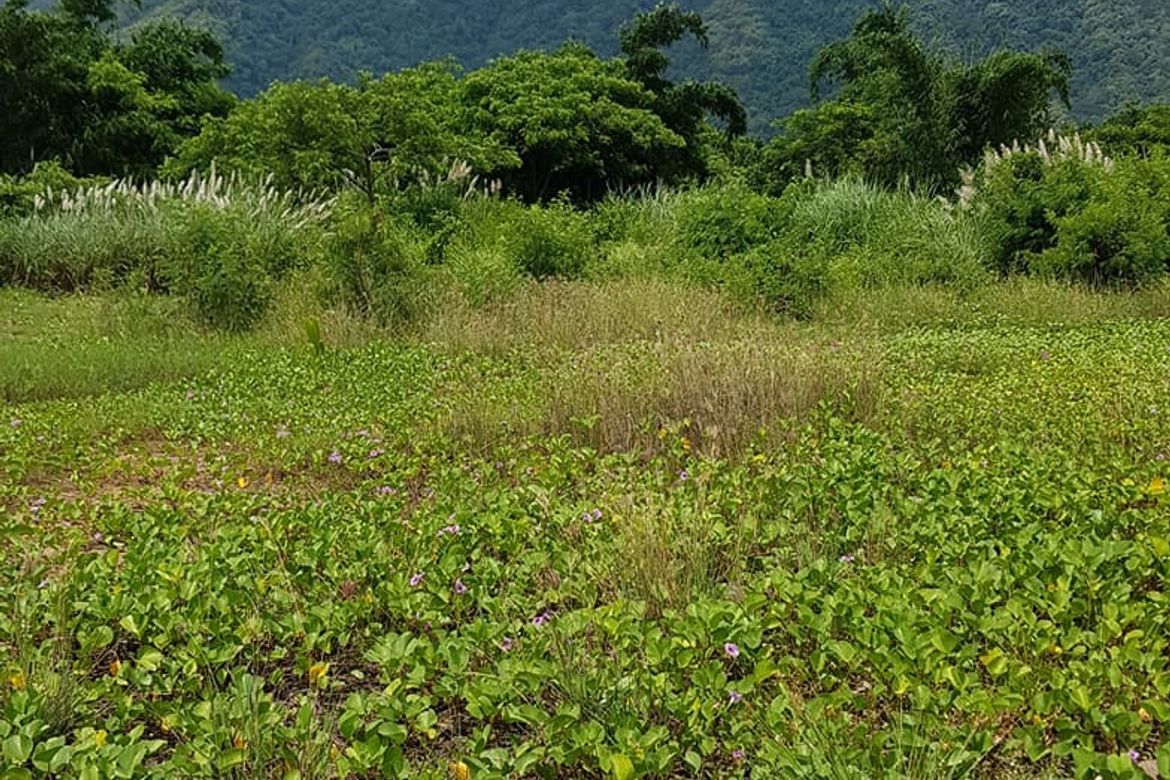 Land for Sale in Cugman, Cagayan de Oro, Misamis Oriental – photo 5