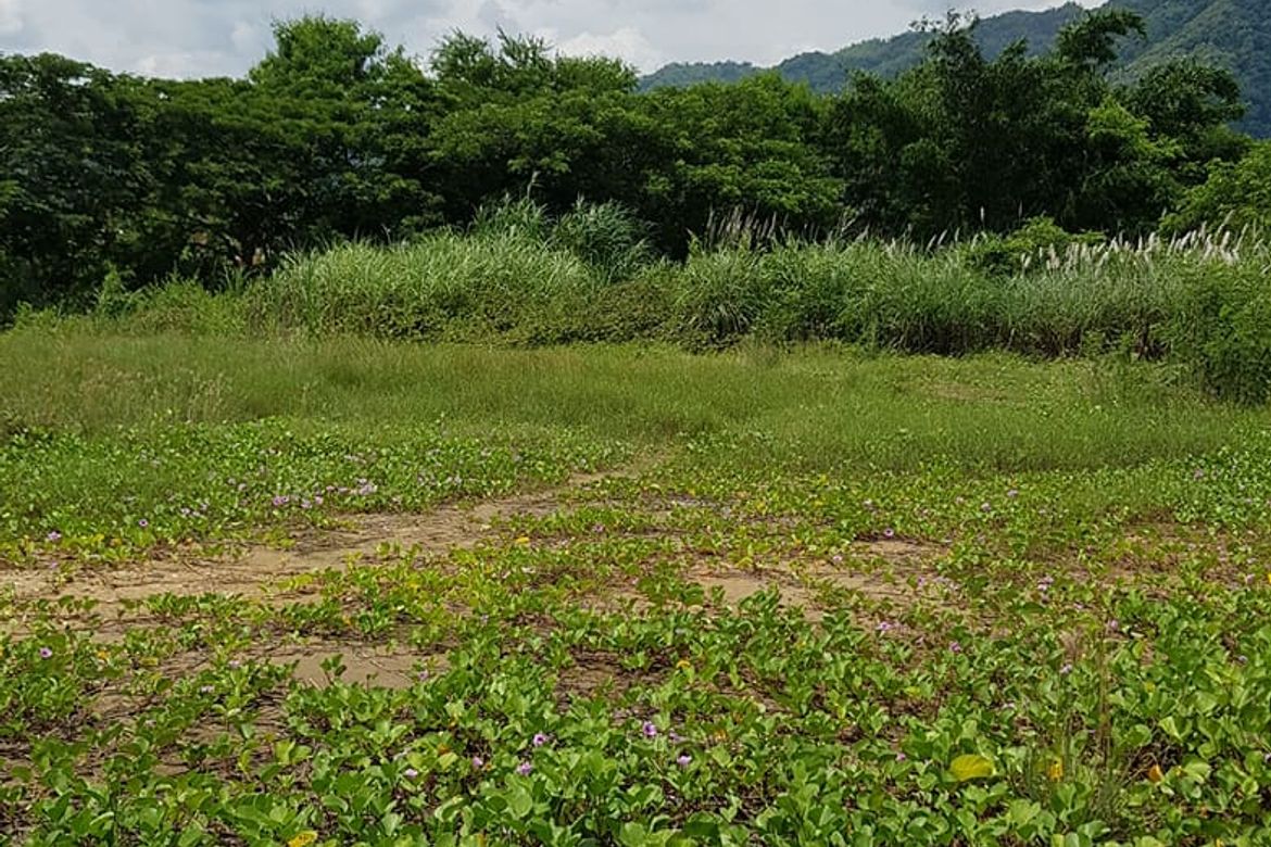 Land for Sale in Cugman, Cagayan de Oro, Misamis Oriental – photo 6