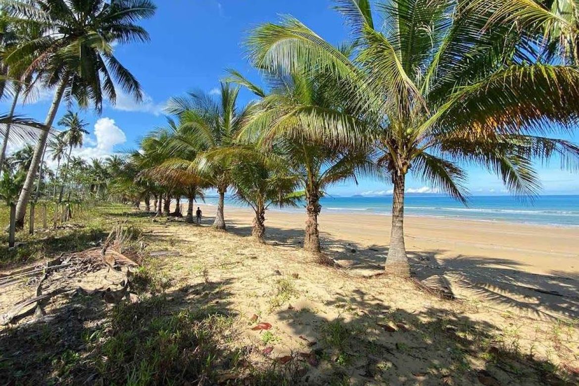 Land for Sale in Culandanum, Aborlan, Palawan