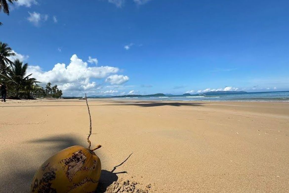Land for Sale in Culandanum, Aborlan, Palawan – photo 2