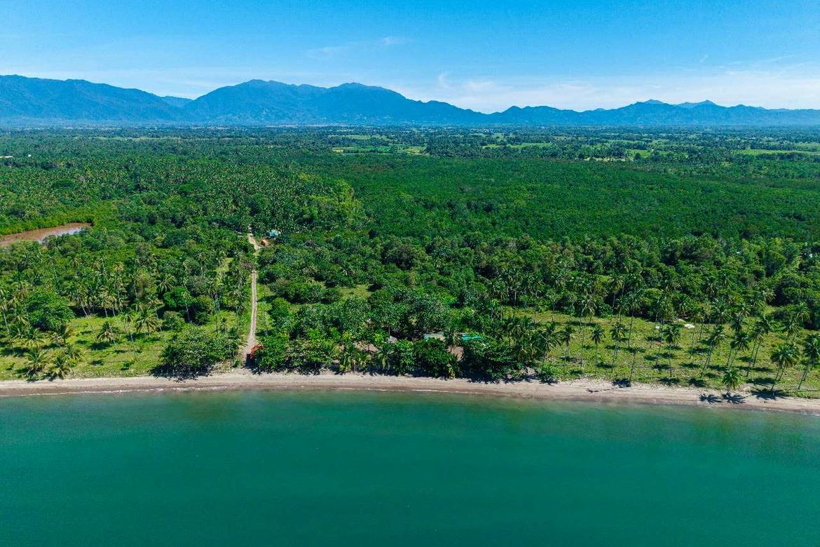 Land for Sale in Culandanum, Aborlan, Palawan – photo 7
