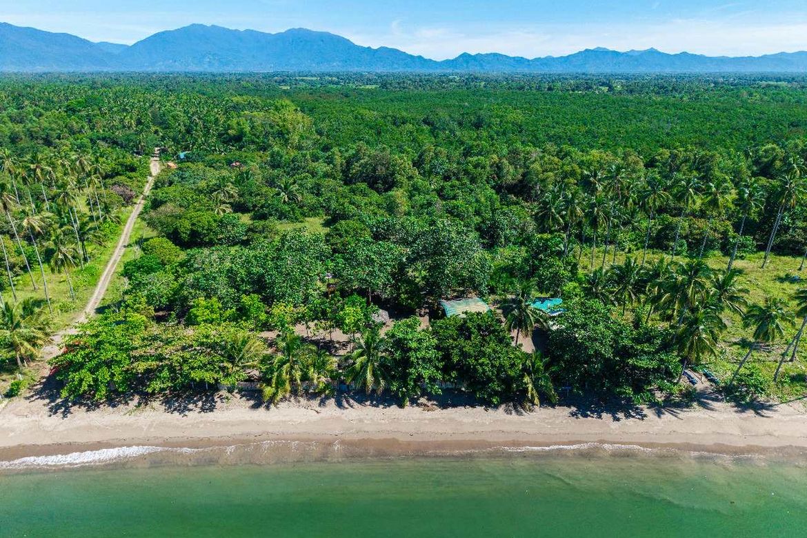 Land for Sale in Culandanum, Aborlan, Palawan – photo 6