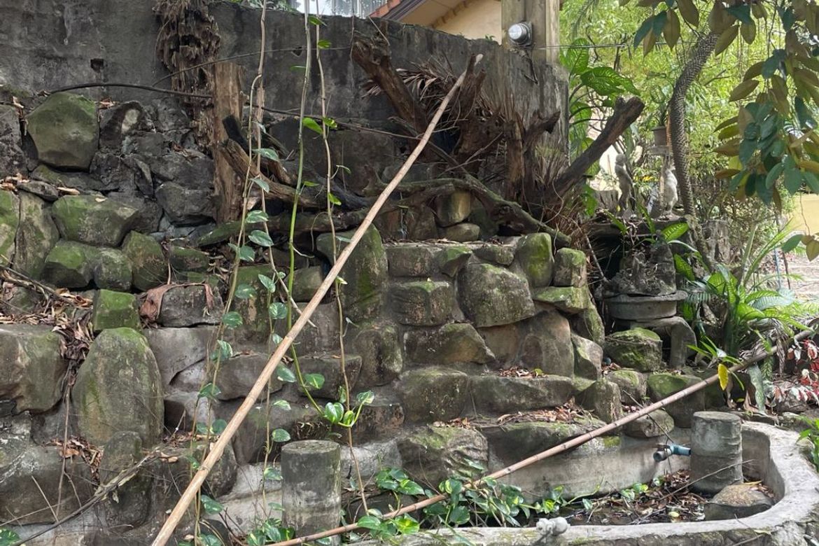 Land for Sale in Culiat, Quezon City, Metro Manila – photo 3