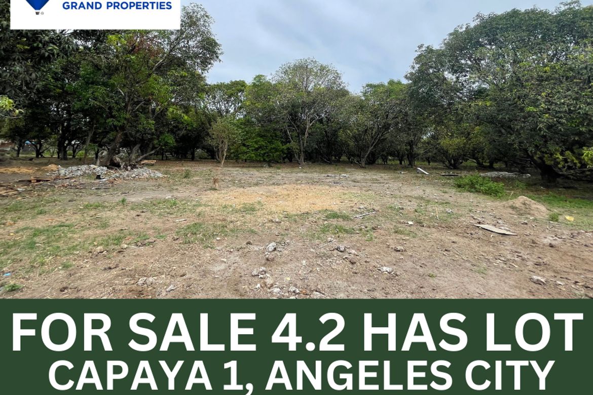Land for Sale in Culubasa, Mexico, Pampanga – photo 2