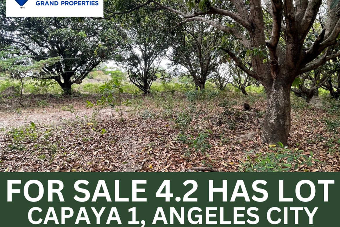 Land for Sale in Culubasa, Mexico, Pampanga – photo 3
