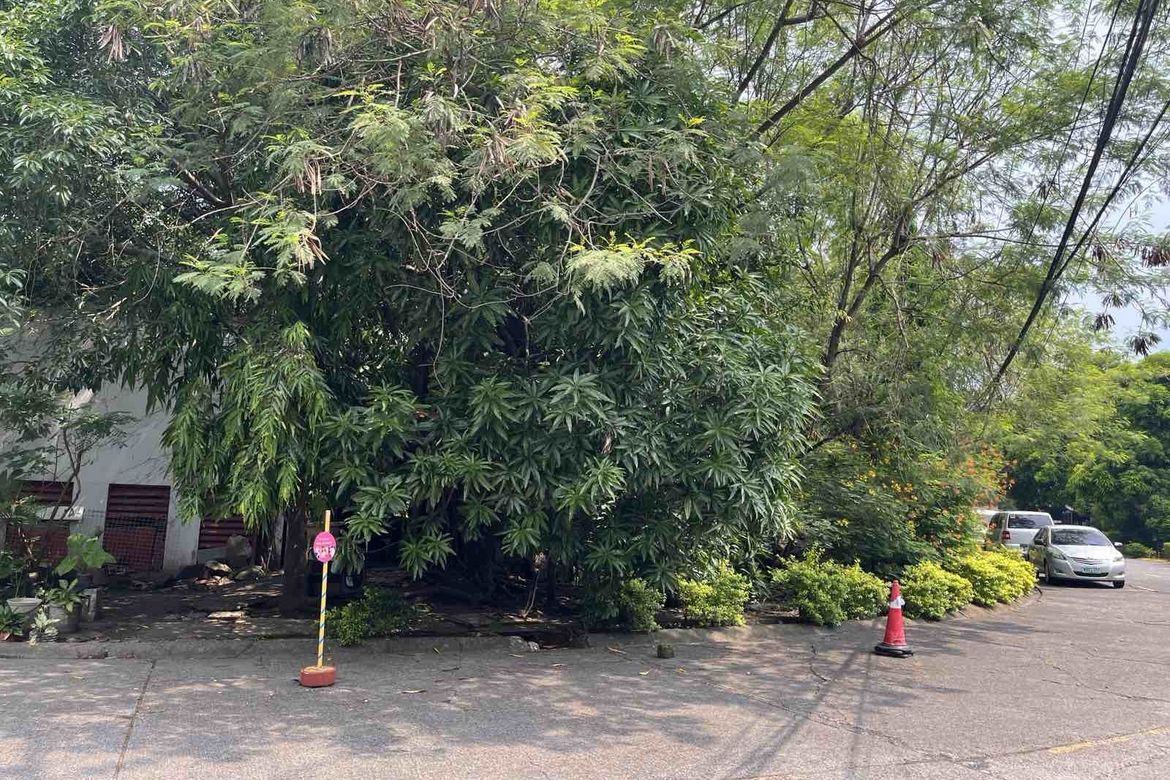 Land for Sale in Cupang, Muntinlupa, Metro Manila