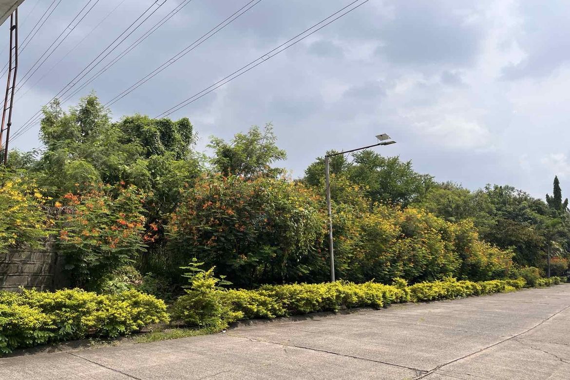 Land for Sale in Cupang, Muntinlupa, Metro Manila – photo 5