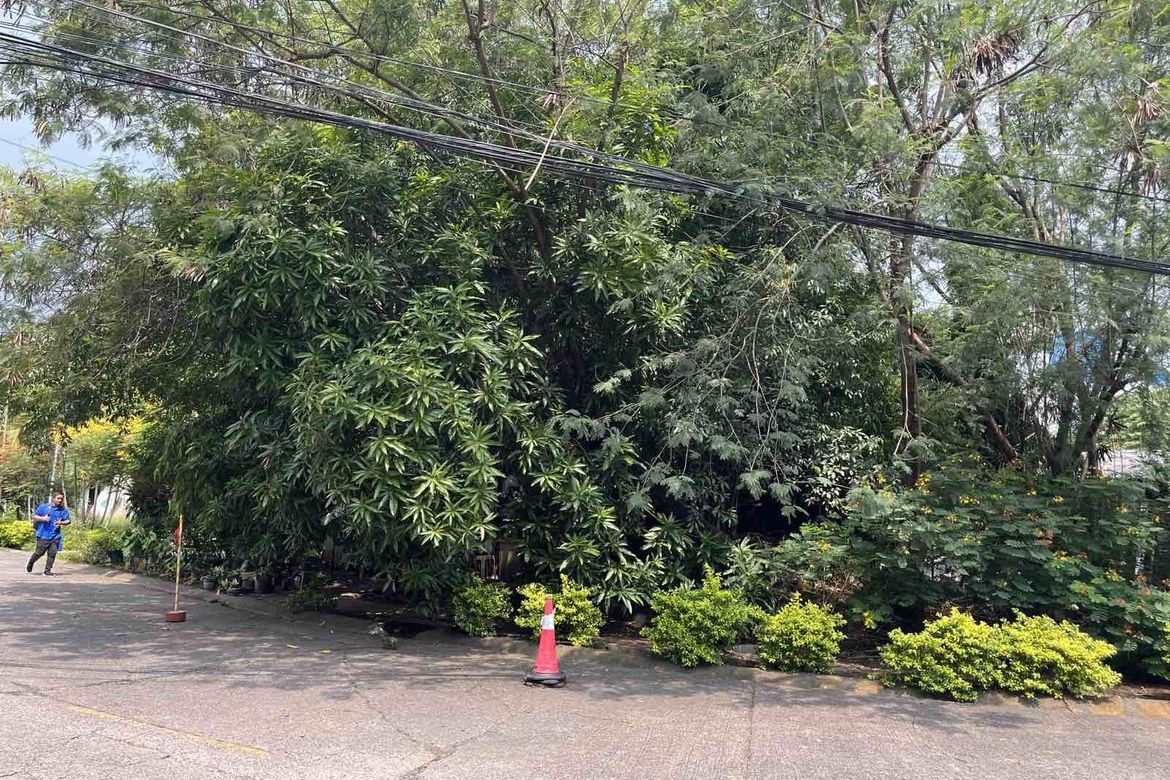 Land for Sale in Cupang, Muntinlupa, Metro Manila – photo 6