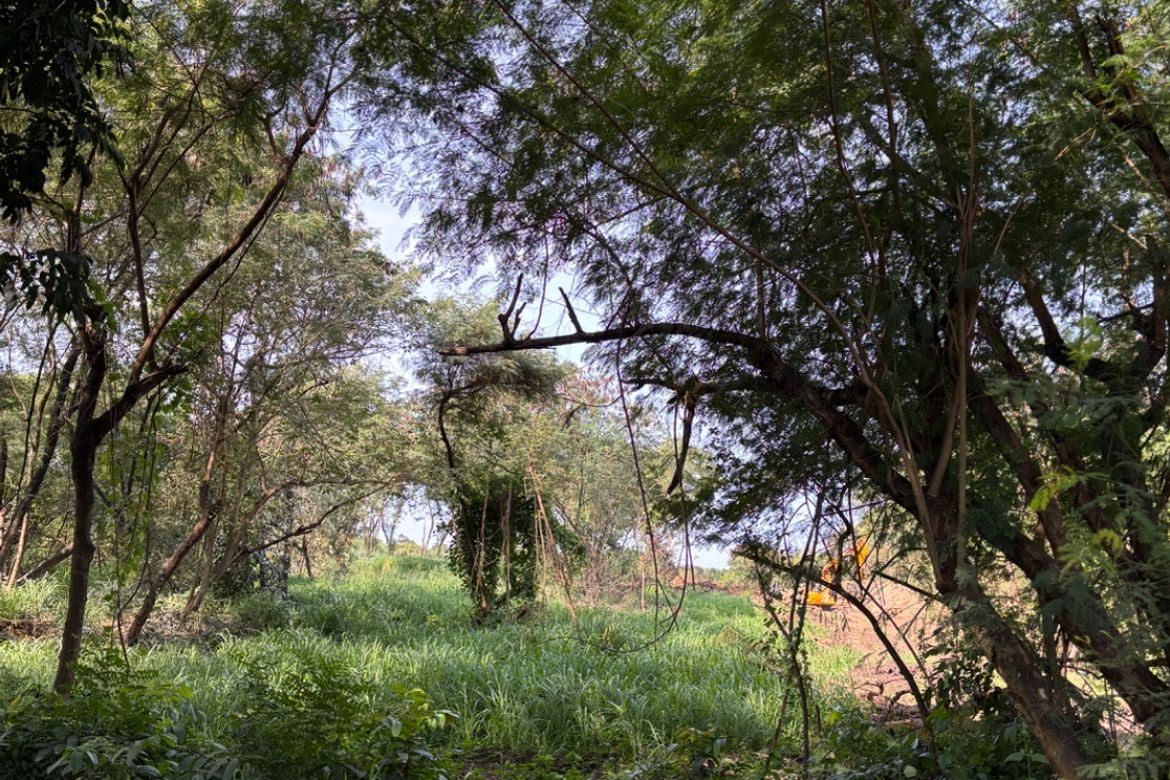 Land for Sale in Cupang, Muntinlupa, Metro Manila