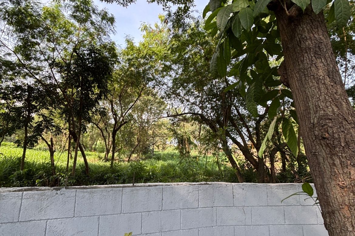 Land for Sale in Cupang, Muntinlupa, Metro Manila – photo 4