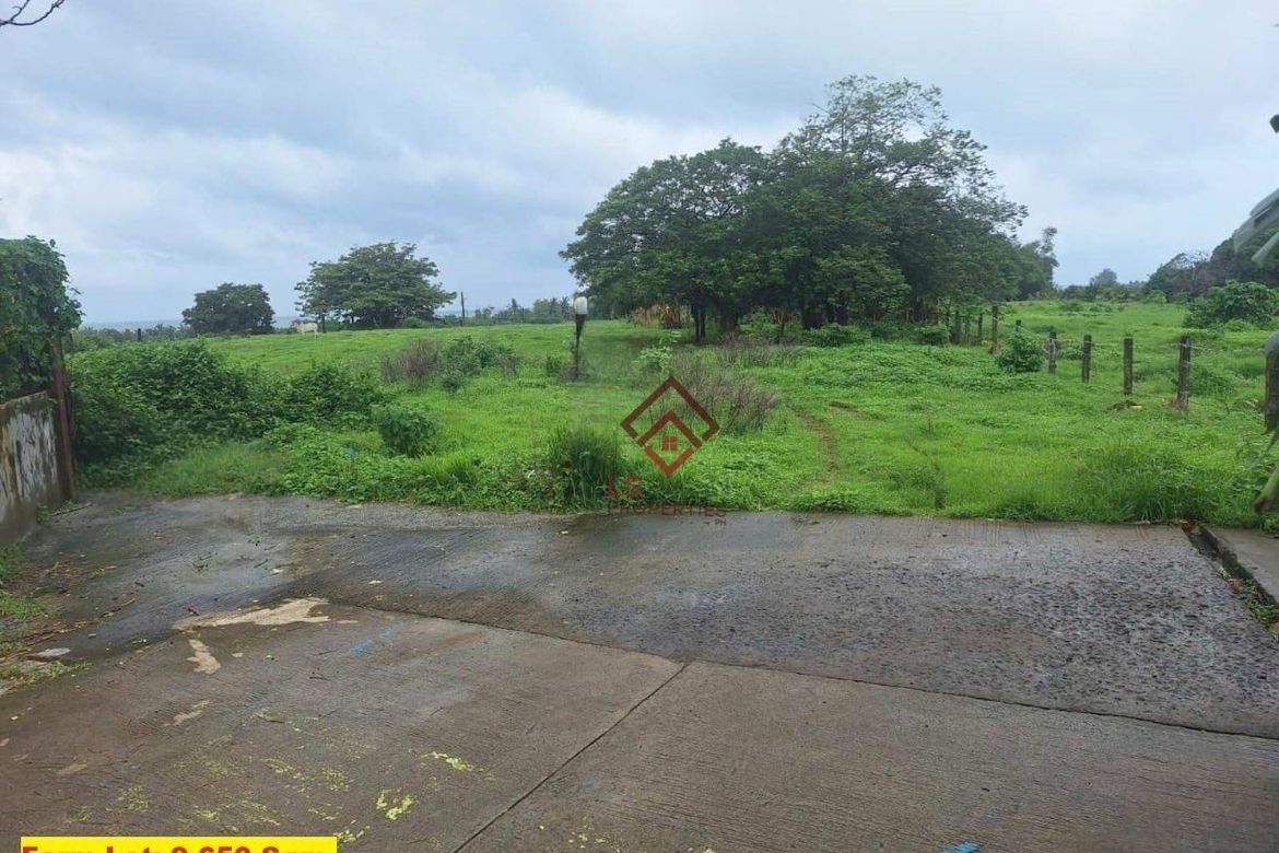 Land for Sale in Cupang Proper, Balanga, Bataan – photo 2
