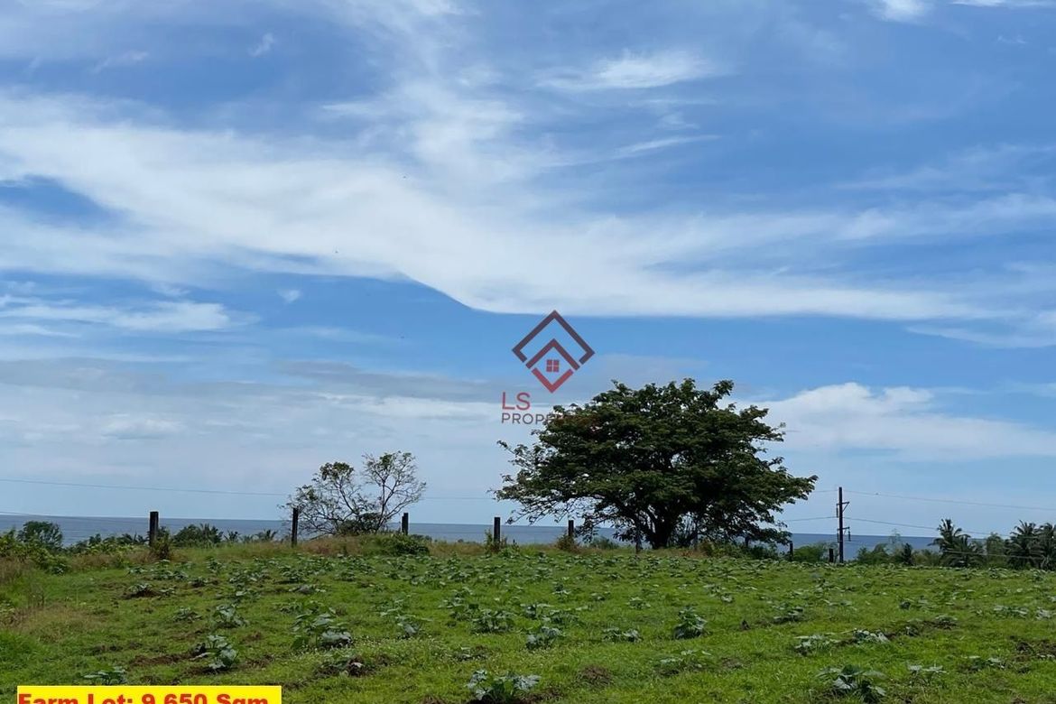 Land for Sale in Cupang Proper, Balanga, Bataan – photo 4
