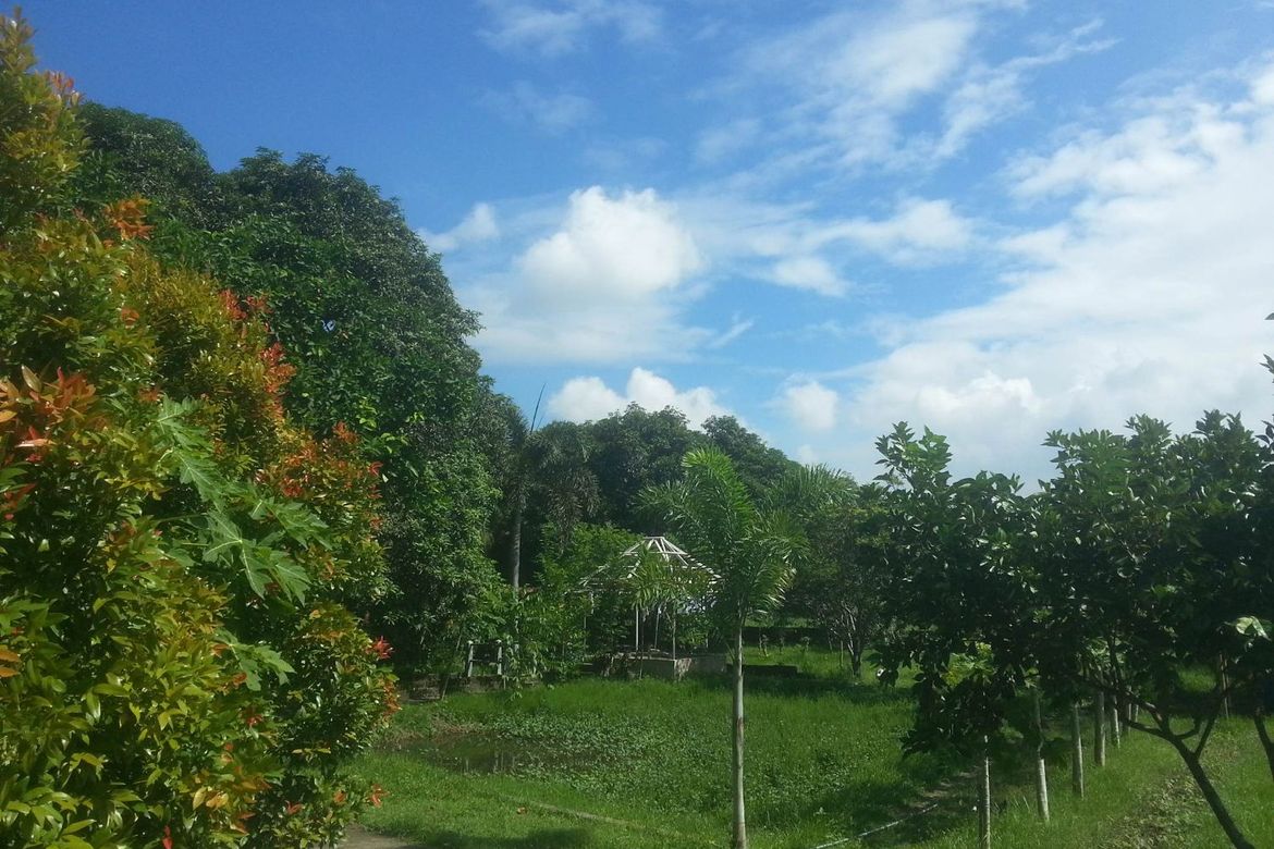Land for Sale in Cutcut, Guiguinto, Bulacan