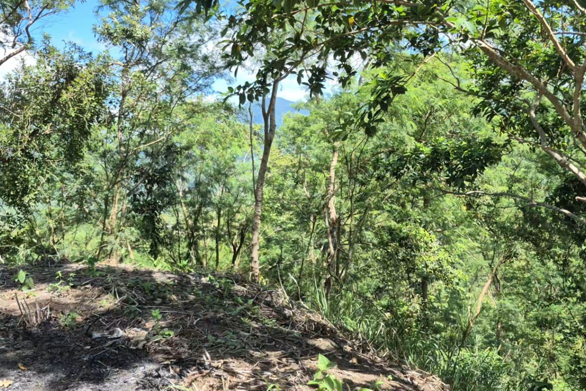 Land for Sale in Cuyambay, Tanay, Rizal