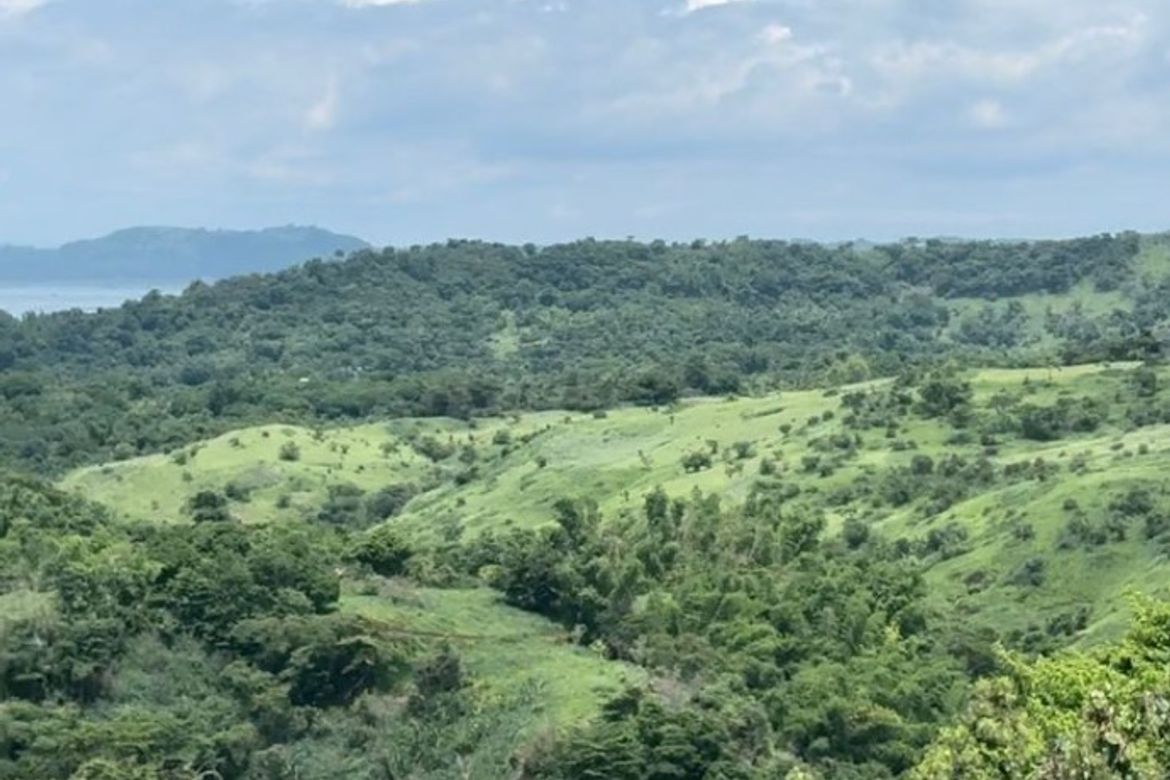 Land for Sale in Cuyambay, Tanay, Rizal – photo 2
