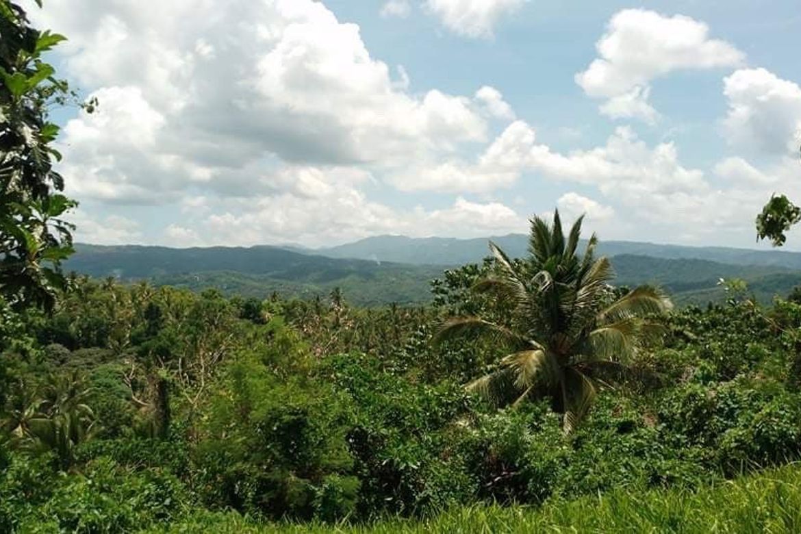 Land for Sale in Cuyambay, Tanay, Rizal