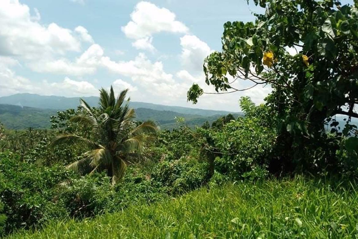 Land for Sale in Cuyambay, Tanay, Rizal – photo 3