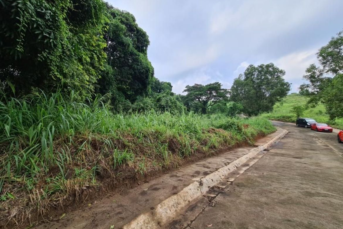 Land for Sale in Cuyambay, Tanay, Rizal – photo 5