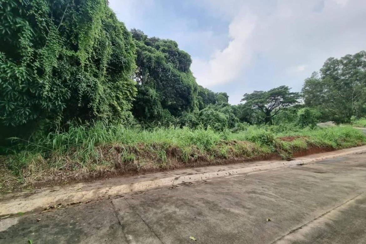 Land for Sale in Cuyambay, Tanay, Rizal – photo 6