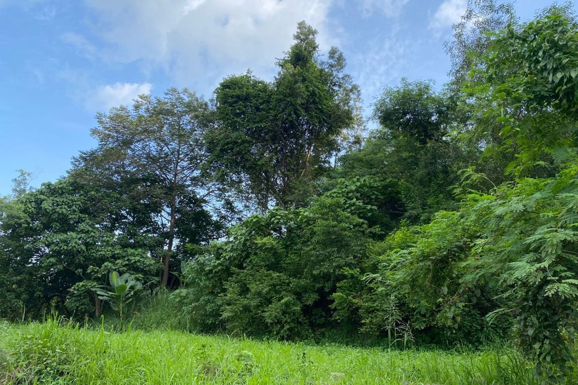 Land for Sale in Cuyambay, Tanay, Rizal