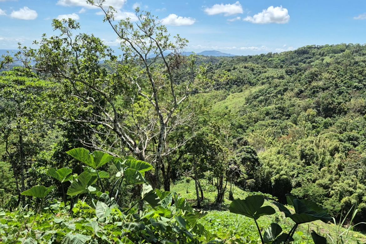 Land for Sale in Cuyambay, Tanay, Rizal
