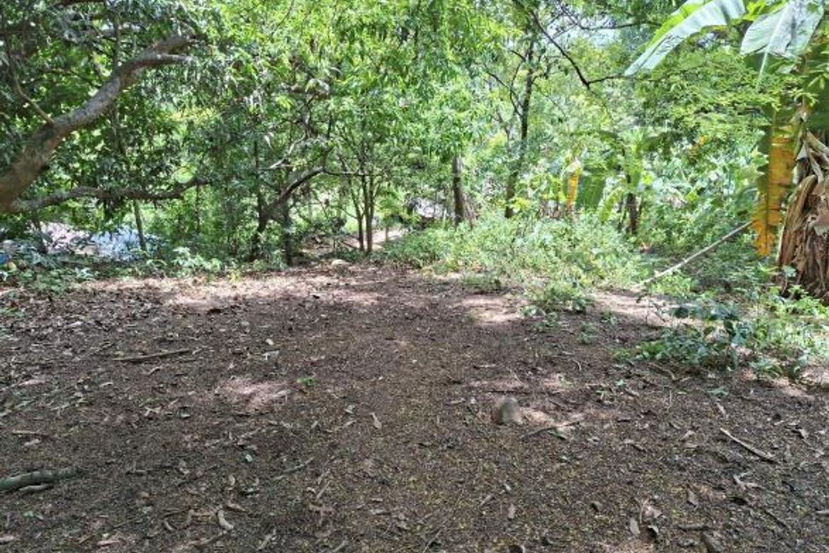 Land for Sale in Daang Pare, Orion, Bataan – photo 4