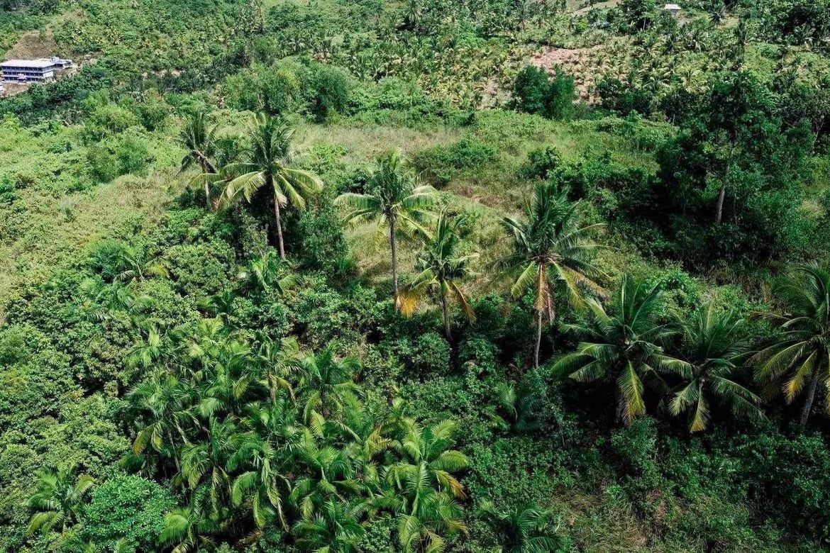 Land for Sale in Daanglungsod, Toledo, Cebu