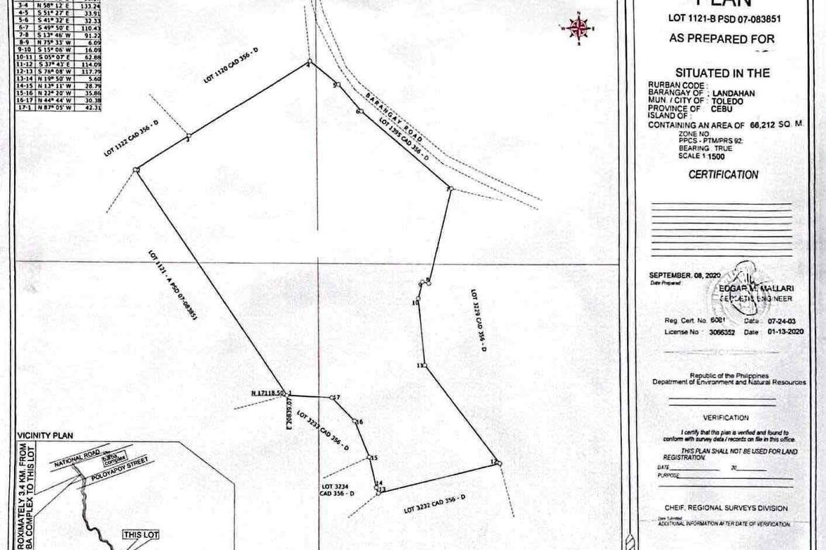 Land for Sale in Daanglungsod, Toledo, Cebu – photo 3