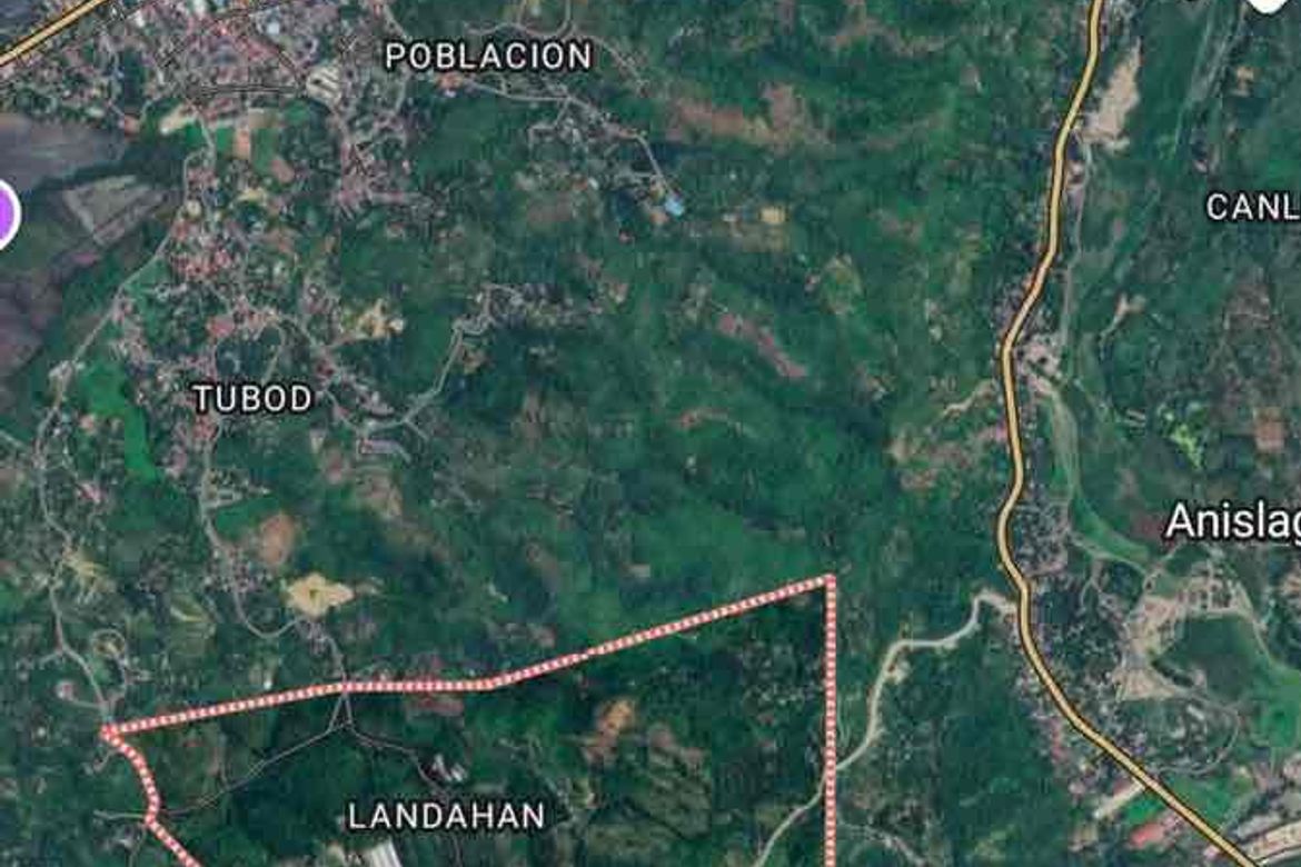 Land for Sale in Daanglungsod, Toledo, Cebu – photo 5