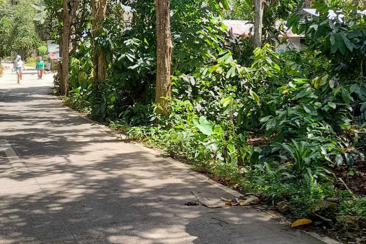 Land for Sale in Dacudao, Davao City, Davao del Sur