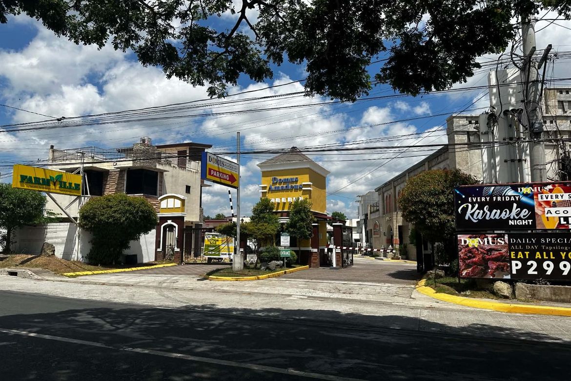 Land for Sale in Dagatan, Amadeo, Cavite – photo 2