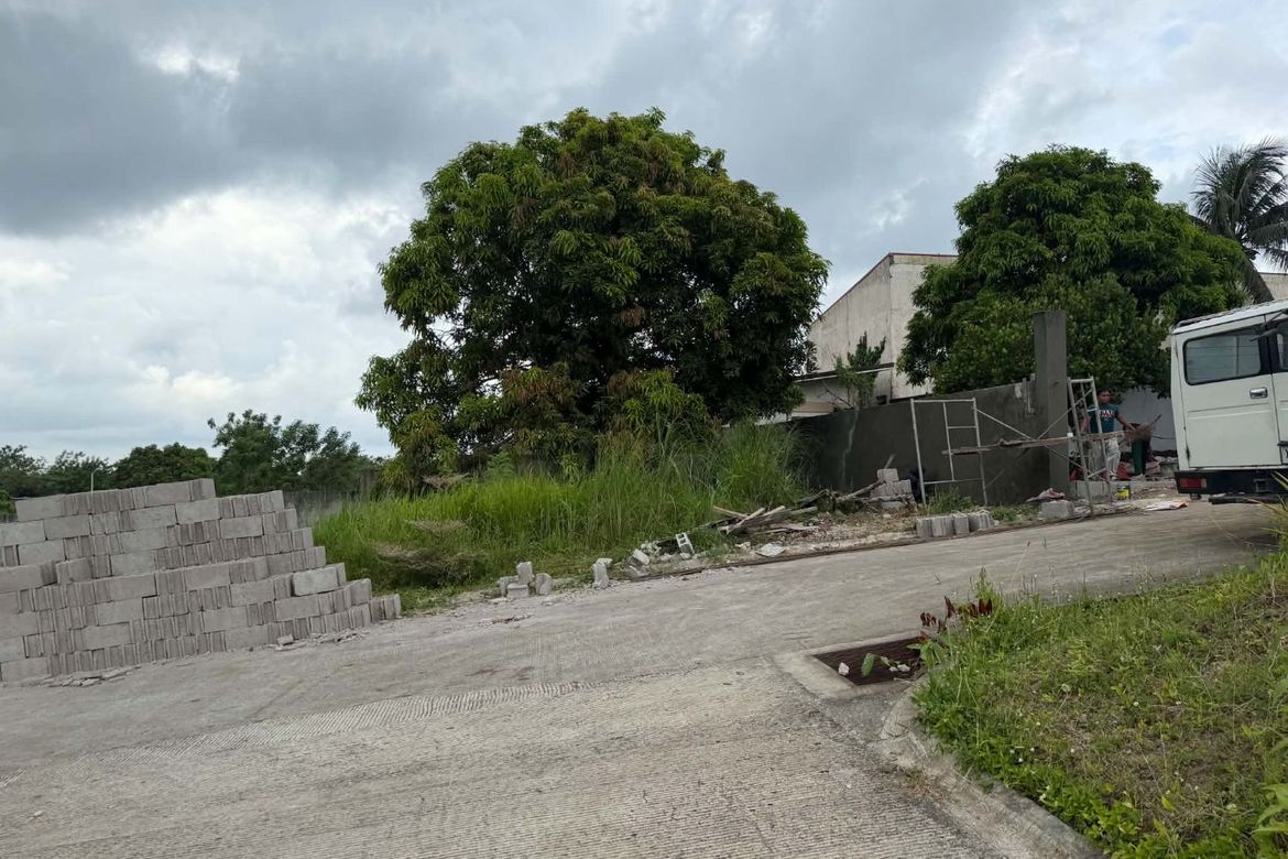 Land for Sale in Dagatan, Amadeo, Cavite – photo 3