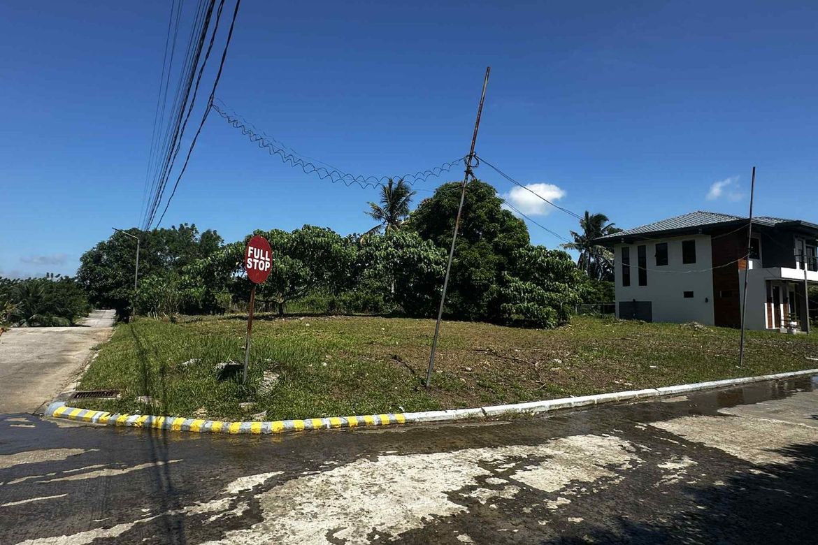 Land for Sale in Dagatan, Amadeo, Cavite – photo 4