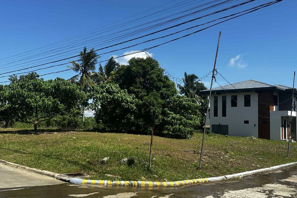Land for Sale in Dagatan, Amadeo, Cavite – photo 6