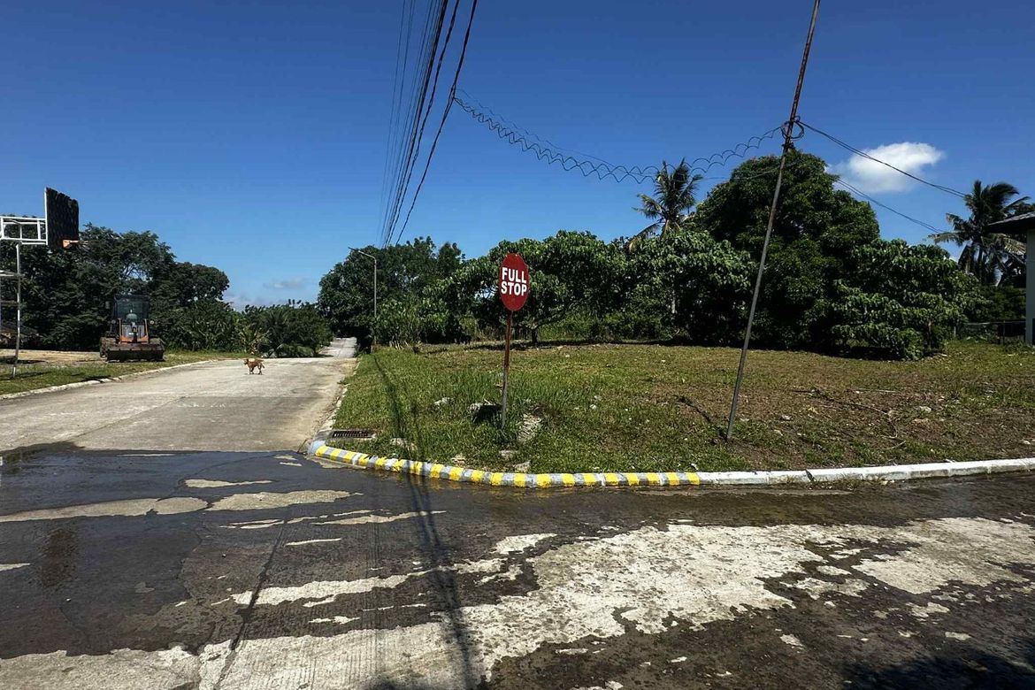 Land for Sale in Dagatan, Amadeo, Cavite – photo 7