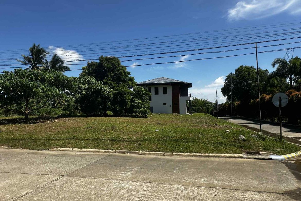 Land for Sale in Dagatan, Amadeo, Cavite – photo 8