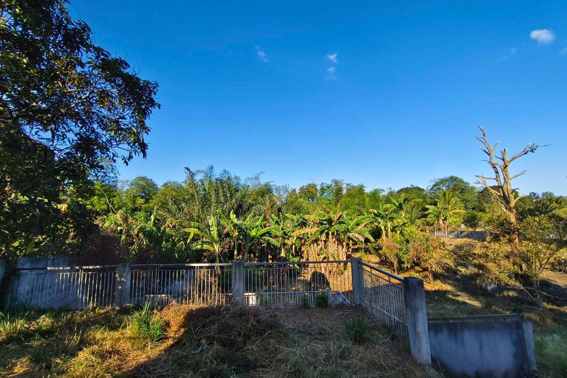 Land for Sale in Dagatan, Amadeo, Cavite – photo 2