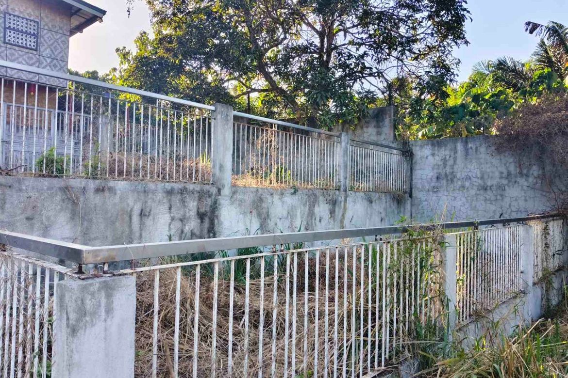 Land for Sale in Dagatan, Amadeo, Cavite – photo 3
