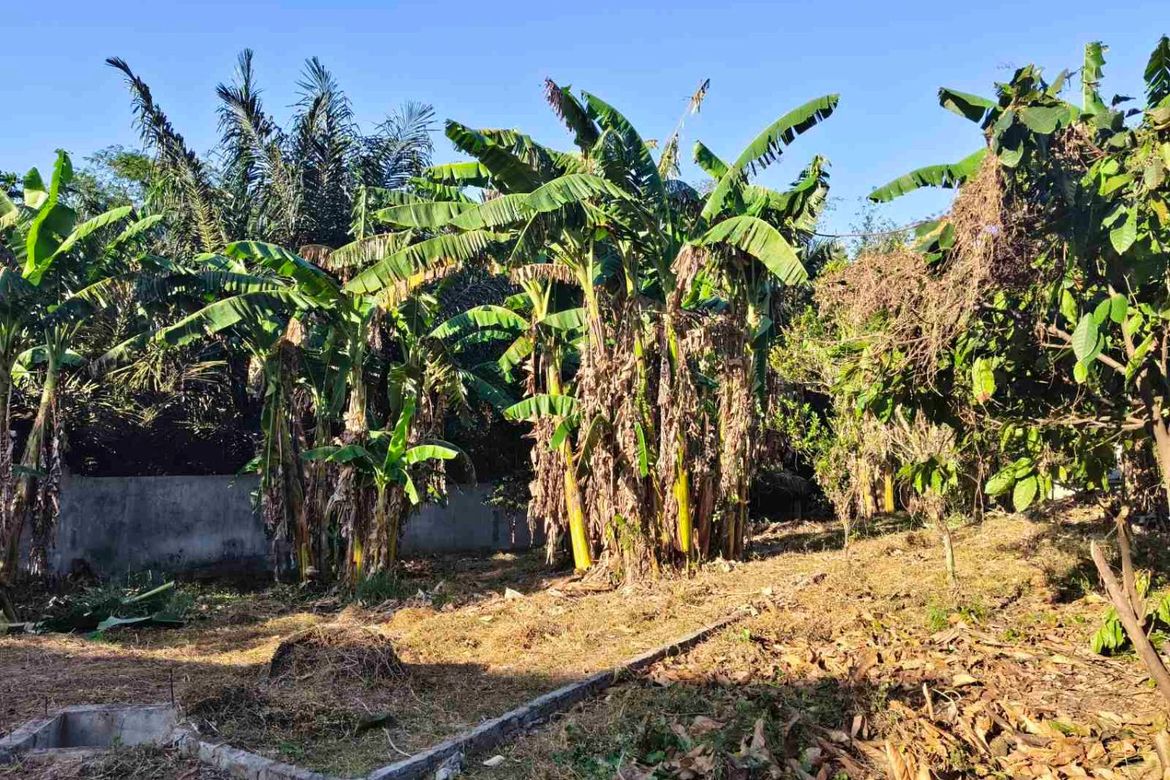 Land for Sale in Dagatan, Amadeo, Cavite – photo 6