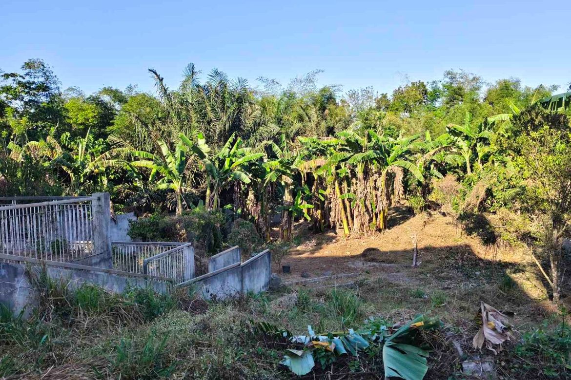Land for Sale in Dagatan, Amadeo, Cavite – photo 7